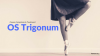 os trigonum.png