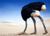 ostrich head in sand.gif