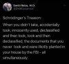 Schrodingers Treason.jpg
