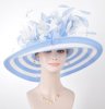 powder blue hat w flowers.jpg