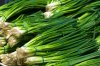 Scallions_0.jpg