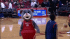 clutch-the-bear-houston-rockets (1).gif