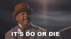 its-do-or-die-alex-boye-4256098635.gif