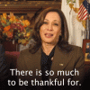 there is so much to be thankful for .gif