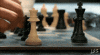 chess-checkmate-checkmate-chess-2994411953.gif