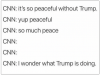 CNN I wonder what Trump is doing.png
