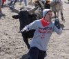rockets fan chased by bull.jpg