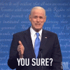 you-sure-joe-biden.gif