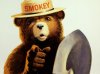 Uncle_Sam_style_Smokey_Bear_Only_You.jpg